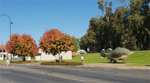Tocumwal